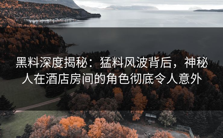 黑料深度揭秘：猛料风波背后，神秘人在酒店房间的角色彻底令人意外
