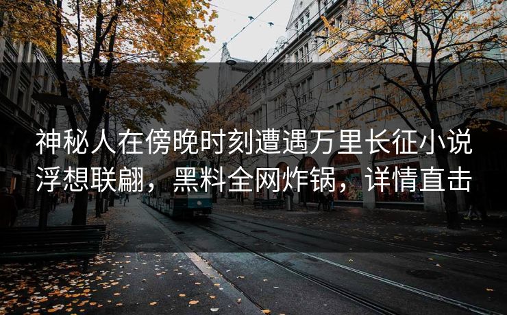 神秘人在傍晚时刻遭遇万里长征小说浮想联翩，黑料全网炸锅，详情直击