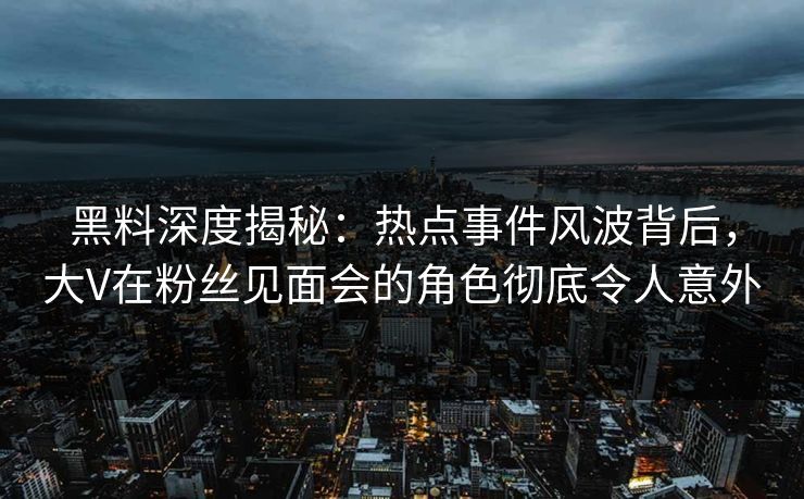 黑料深度揭秘：热点事件风波背后，大V在粉丝见面会的角色彻底令人意外